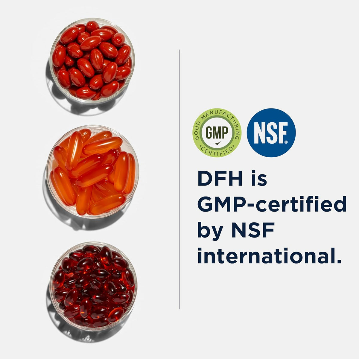SAMe Methylation support